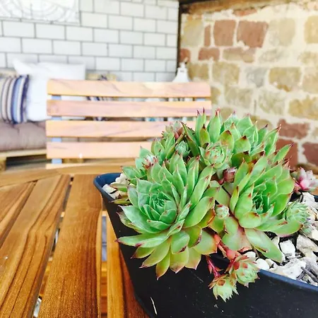 Winzer - Wandern Und Genuss In Der Pfalz * Heuchelheim-Klingen