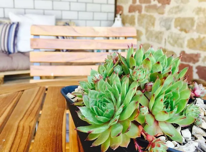 Winzer - Wandern Und Genuss In Der Pfalz * Heuchelheim-Klingen